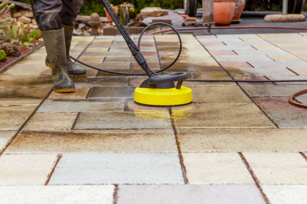 Best Dumpster Area Cleaning  in Westbury, NY